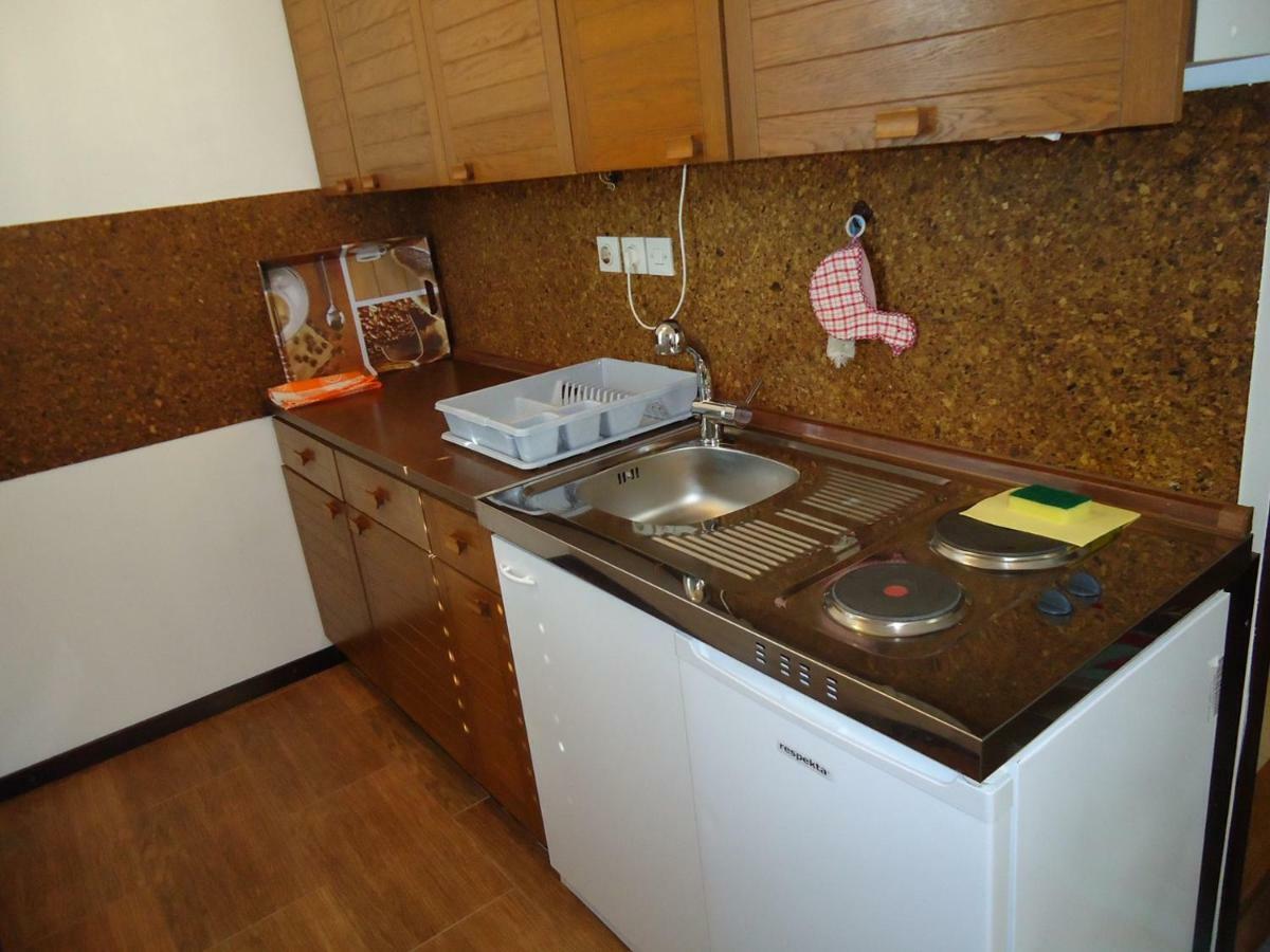 Studio Apartment Carli Savudrija Eksteriør billede