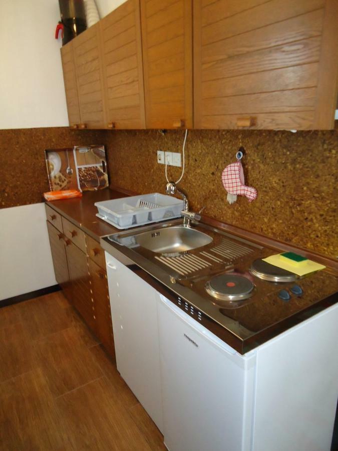 Studio Apartment Carli Savudrija Eksteriør billede